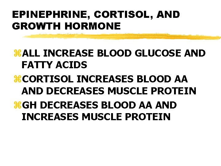 EPINEPHRINE, CORTISOL, AND GROWTH HORMONE z. ALL INCREASE BLOOD GLUCOSE AND FATTY ACIDS z.