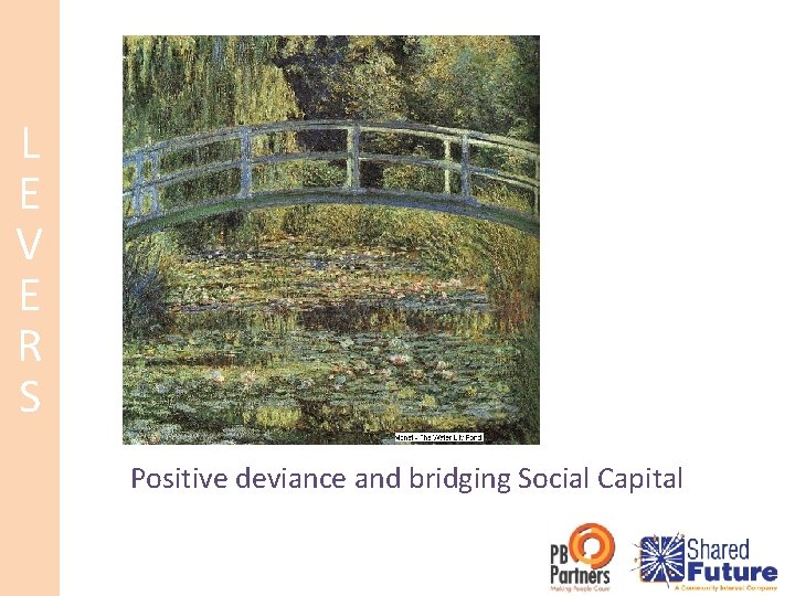 L E V E R S Positive deviance and bridging Social Capital 