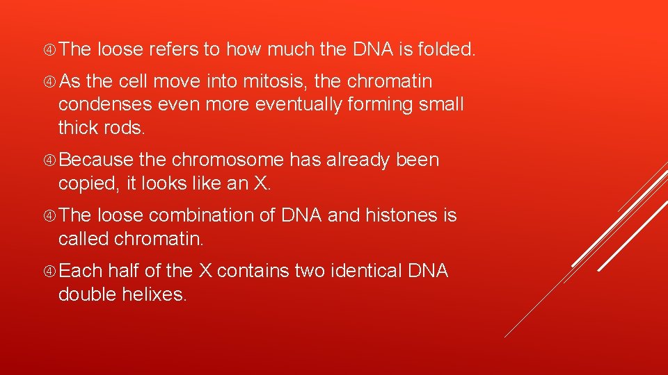  The loose refers to how much the DNA is folded. As the cell