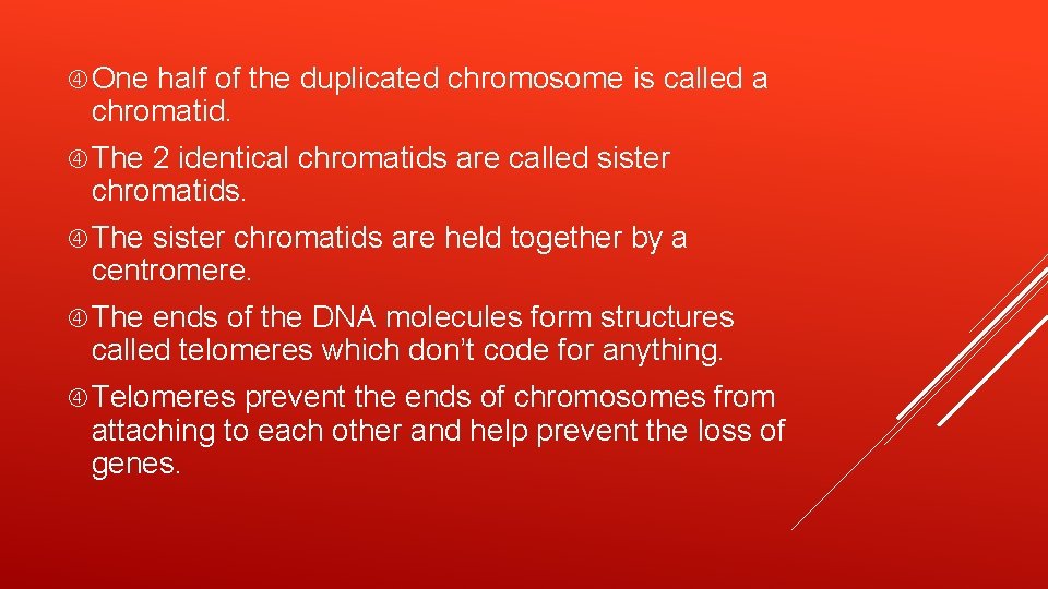  One half of the duplicated chromosome is called a chromatid. The 2 identical