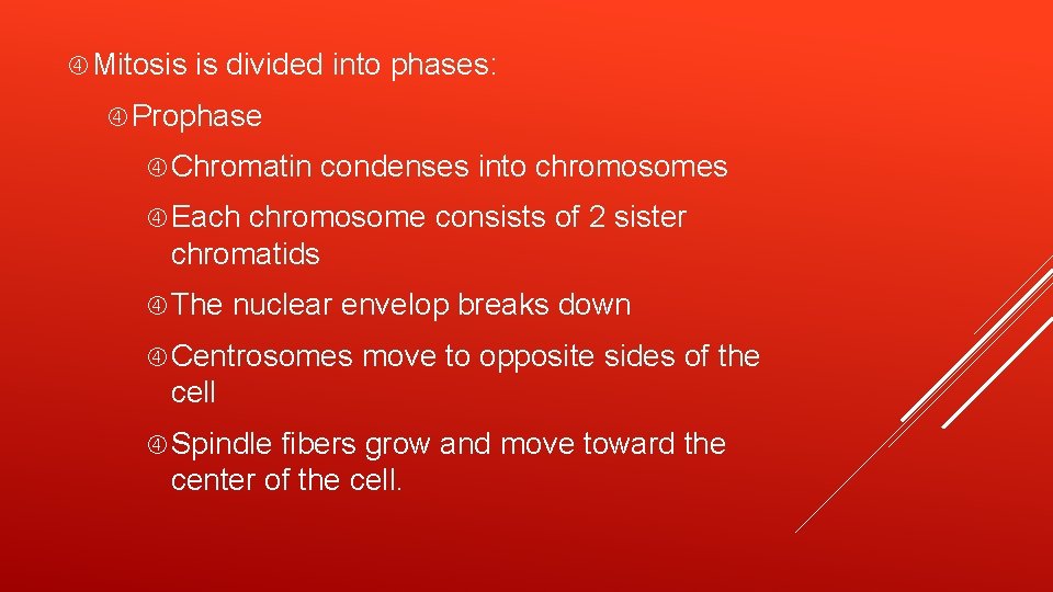  Mitosis is divided into phases: Prophase Chromatin condenses into chromosomes Each chromosome consists