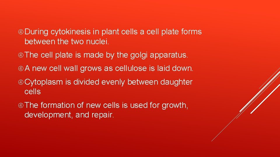  During cytokinesis in plant cells a cell plate forms between the two nuclei.