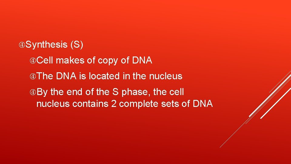  Synthesis (S) Cell makes of copy of DNA The DNA is located in