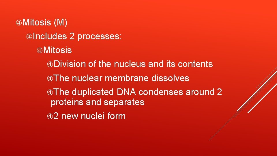  Mitosis (M) Includes 2 processes: Mitosis Division The of the nucleus and its