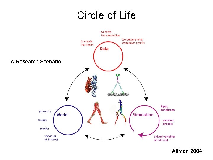 Circle of Life A Research Scenario Altman 2004 