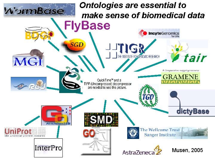 Ontologies are essential to make sense of biomedical data Musen, 2005 