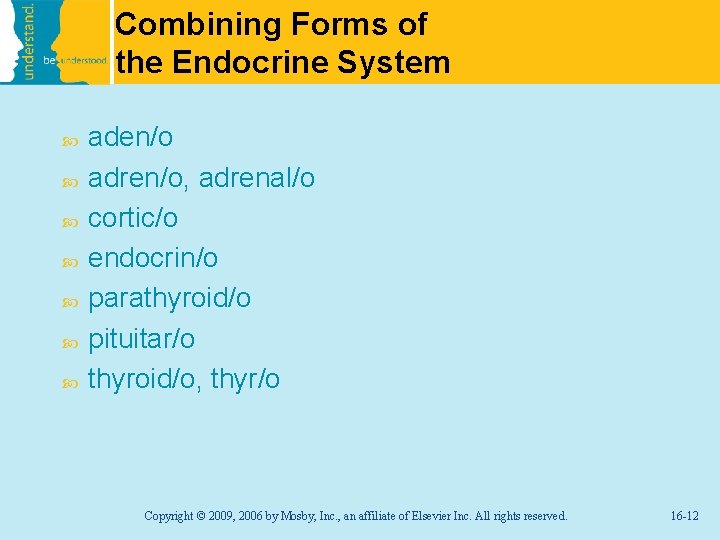 Combining Forms of the Endocrine System aden/o adren/o, adrenal/o cortic/o endocrin/o parathyroid/o pituitar/o thyroid/o,