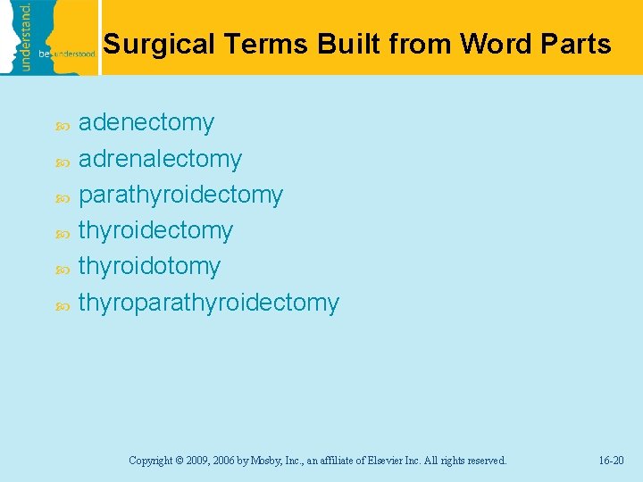 Surgical Terms Built from Word Parts adenectomy adrenalectomy parathyroidectomy thyroidotomy thyroparathyroidectomy Copyright © 2009,
