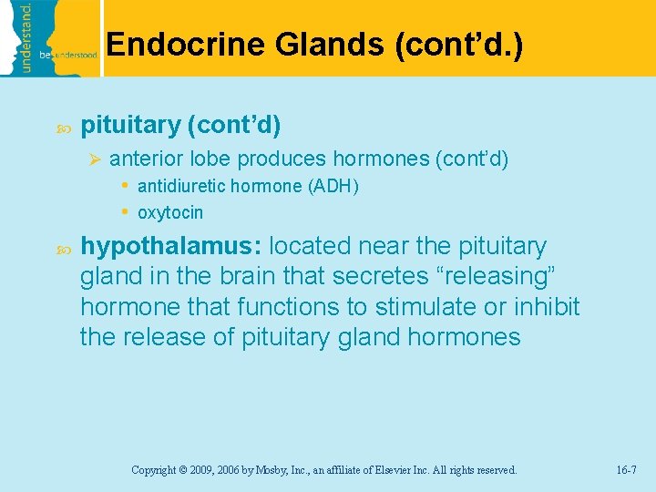 Endocrine Glands (cont’d. ) pituitary (cont’d) Ø anterior lobe produces hormones (cont’d) • antidiuretic