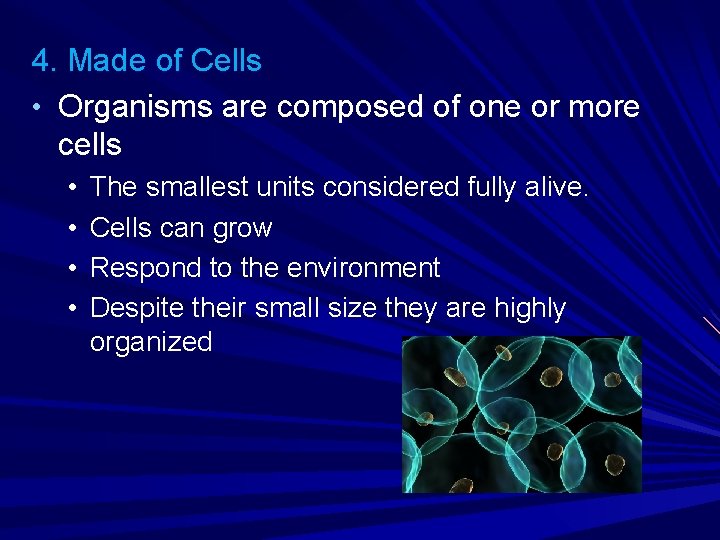 4. Made of Cells • Organisms are composed of one or more cells •