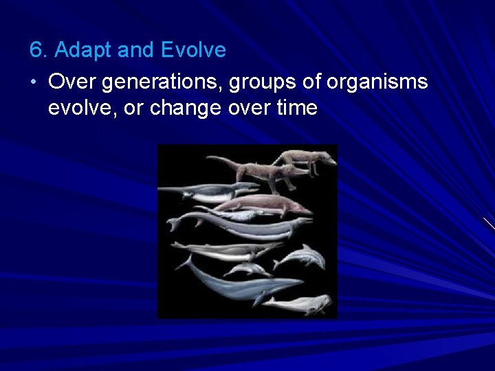 6. Adapt and Evolve • Over generations, groups of organisms evolve, or change over