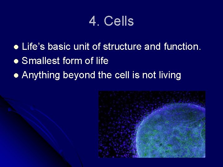 4. Cells Life’s basic unit of structure and function. l Smallest form of life