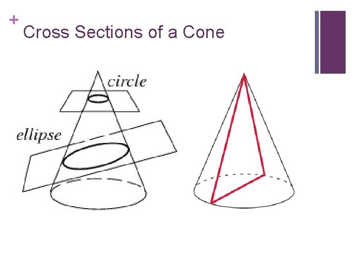 + Cross Sections of a Cone 