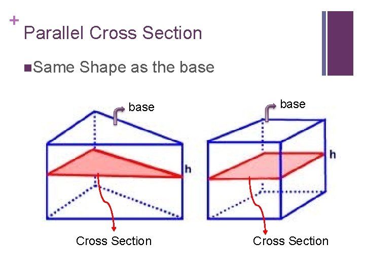 + Parallel Cross Section n. Same Shape as the base Cross Section 