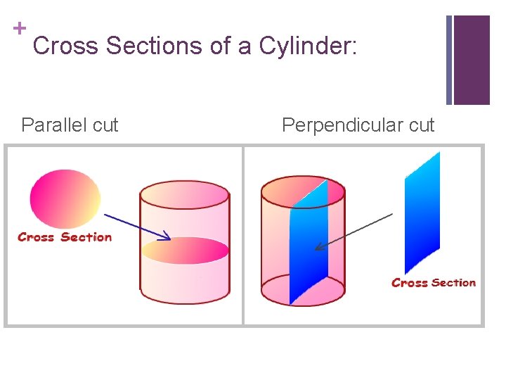 + Cross Sections of a Cylinder: Parallel cut Perpendicular cut 