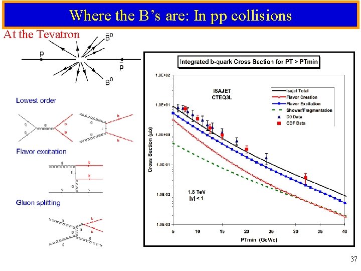 Where the B’s are: In pp collisions At the Tevatron 37 