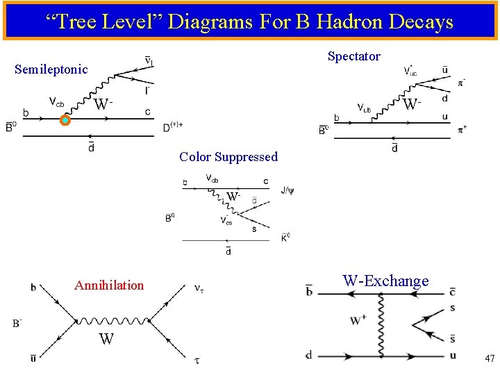 “Tree Level” Diagrams For B Hadron Decays Spectator Semileptonic W- WColor Suppressed W- Annihilation