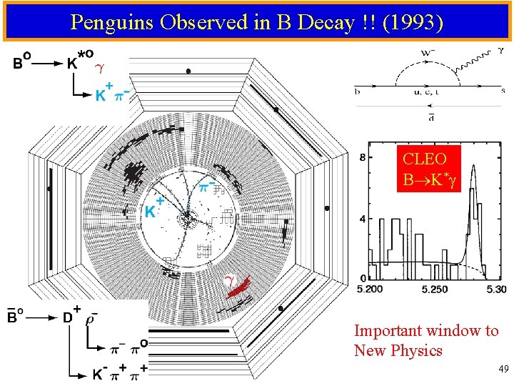 Penguins Observed in B Decay !! (1993) CLEO B K* Important window to New