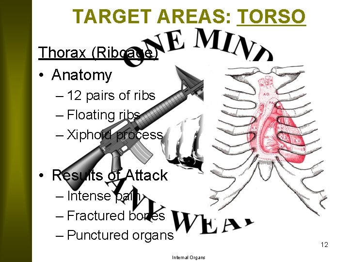 TARGET AREAS: TORSO Thorax (Ribcage) • Anatomy – 12 pairs of ribs – Floating