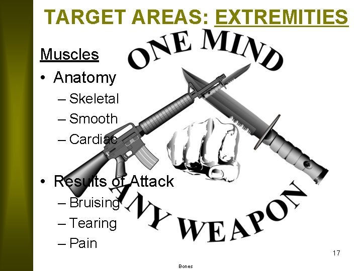 TARGET AREAS: EXTREMITIES Muscles • Anatomy – Skeletal – Smooth – Cardiac • Results