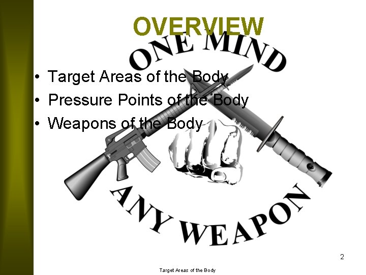 OVERVIEW • Target Areas of the Body • Pressure Points of the Body •