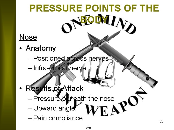 PRESSURE POINTS OF THE BODY Nose • Anatomy – Positioned across nerves – Infra-orbital