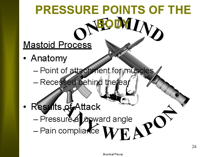 PRESSURE POINTS OF THE BODY Mastoid Process • Anatomy – Point of attachment for