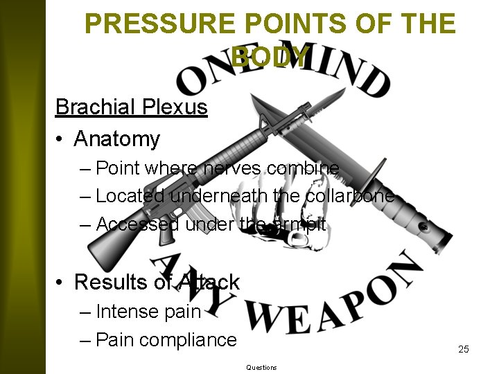 PRESSURE POINTS OF THE BODY Brachial Plexus • Anatomy – Point where nerves combine