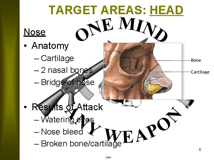 TARGET AREAS: HEAD Nose • Anatomy – Cartilage – 2 nasal bones – Bridge