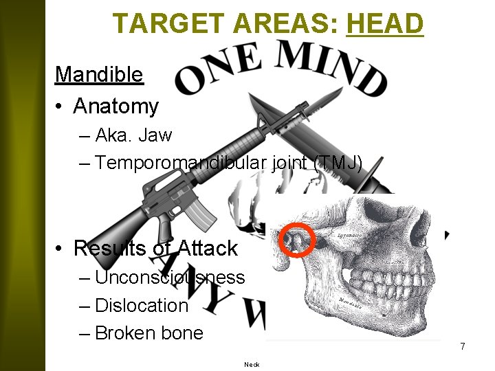 TARGET AREAS: HEAD Mandible • Anatomy – Aka. Jaw – Temporomandibular joint (TMJ) •