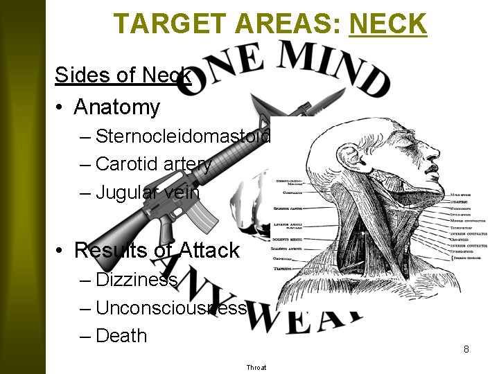 TARGET AREAS: NECK Sides of Neck • Anatomy – Sternocleidomastoid – Carotid artery –