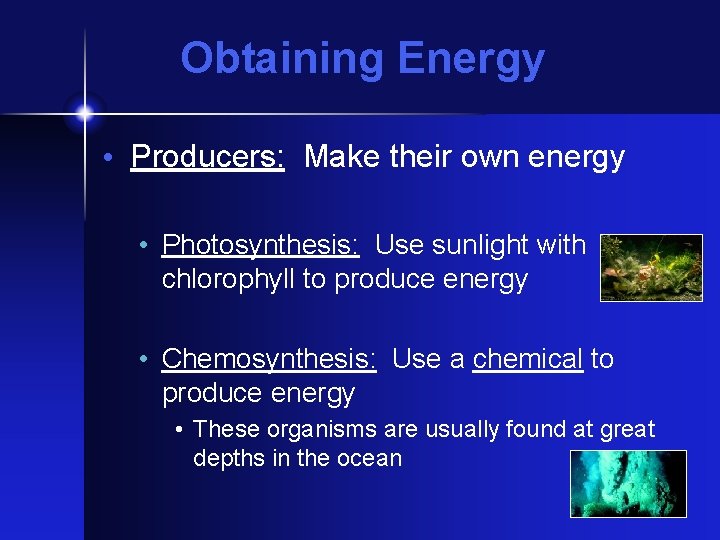 Obtaining Energy • Producers: Make their own energy • Photosynthesis: Use sunlight with chlorophyll