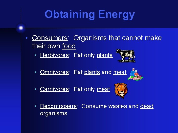 Obtaining Energy • Consumers: Organisms that cannot make their own food • Herbivores: Eat