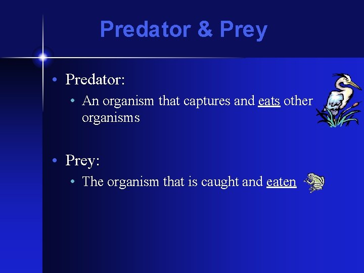 Predator & Prey • Predator: • An organism that captures and eats other organisms