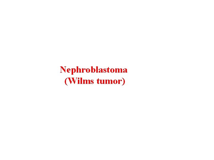 Nephroblastoma (Wilms tumor) 