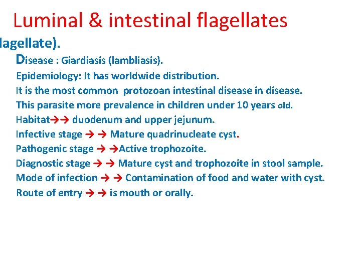 Prostatitis Lambliosis W