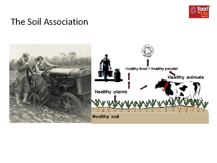 The Soil Association 