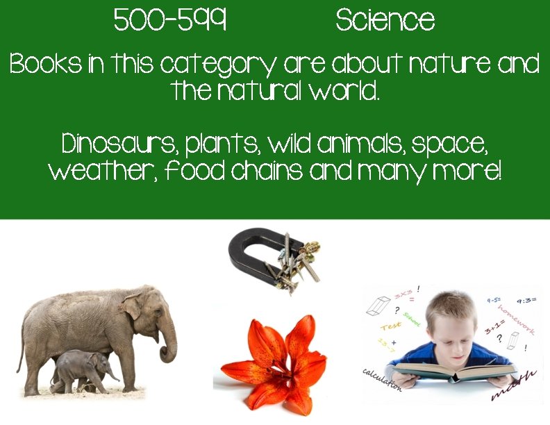 500 -599 Science Books in this category are about nature and the natural world.