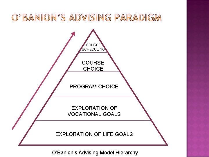 COURSE SCHEDULING COURSE CHOICE PROGRAM CHOICE EXPLORATION OF VOCATIONAL GOALS EXPLORATION OF LIFE GOALS