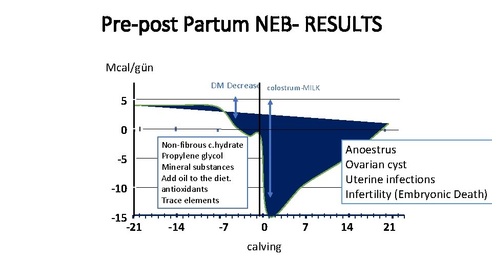 Pre-post Partum NEB- RESULTS Mcal/gün DM Decrease colostrum-MILK 5 0 -5 -10 -15 -21