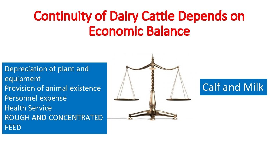 Continuity of Dairy Cattle Depends on Economic Balance Depreciation of plant and equipment Provision