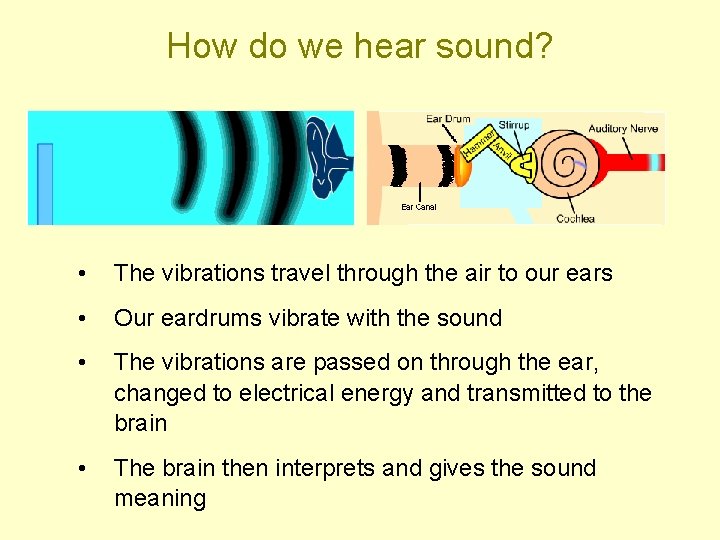 How do we hear sound? • The vibrations travel through the air to our