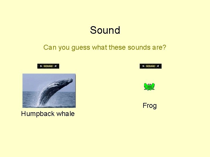 Sound Can you guess what these sounds are? Frog Humpback whale 