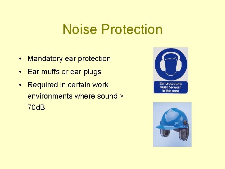 Noise Protection • Mandatory ear protection • Ear muffs or ear plugs • Required