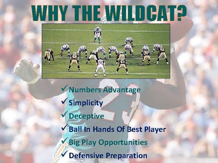 WHY THE WILDCAT? üNumbers Advantage üSimplicity üDeceptive üBall In Hands Of Best Player üBig