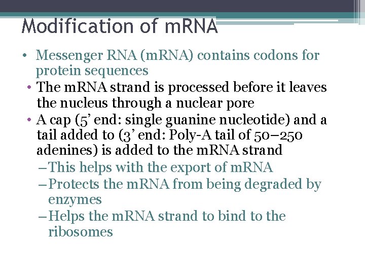 Modification of m. RNA • Messenger RNA (m. RNA) contains codons for protein sequences