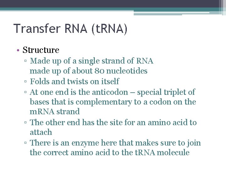 Transfer RNA (t. RNA) • Structure ▫ Made up of a single strand of