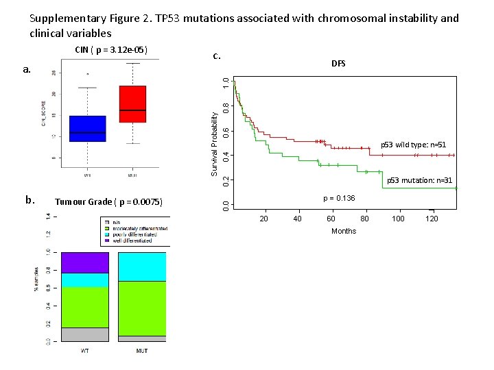 Supplementary Figure 2. TP 53 mutations associated with chromosomal instability and clinical variables CIN