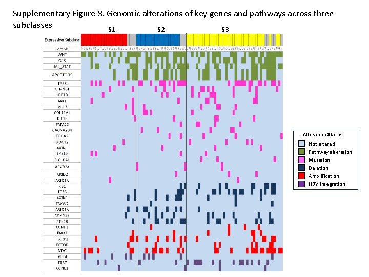 Supplementary Figure 8. Genomic alterations of key genes and pathways across three subclasses S