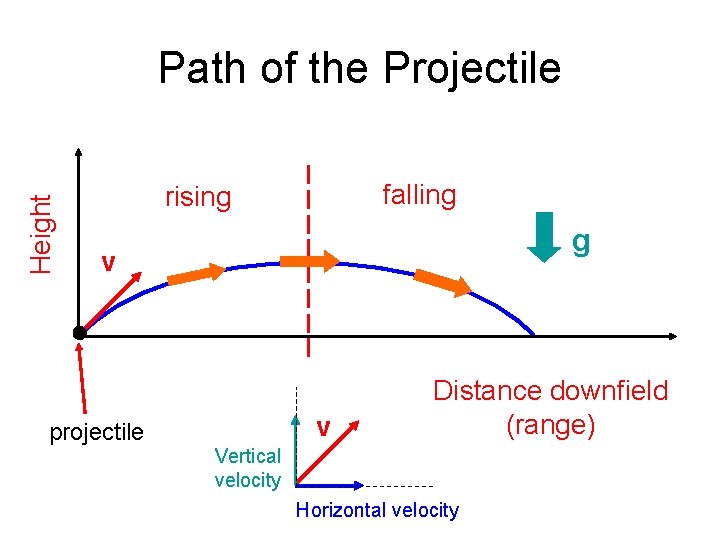 Height Path of the Projectile falling rising g v projectile v Distance downfield (range)